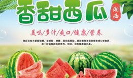 吃瓜娱乐封面设计图片大全,盘点潮流视觉盛宴