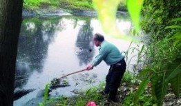 珠海平沙最新爆料,揭秘神秘项目背后的故事